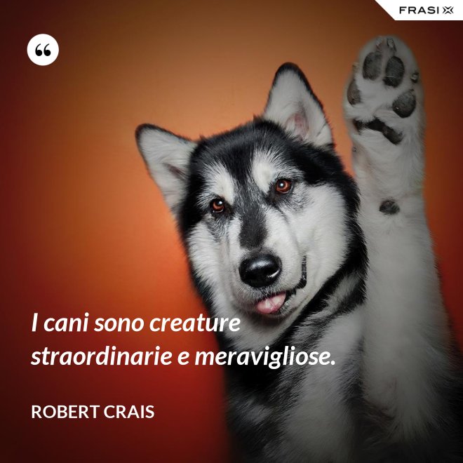 I cani sono creature straordinarie e meravigliose. - Robert Crais