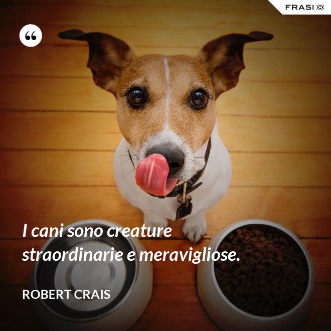 I cani sono creature straordinarie e meravigliose. - Robert Crais