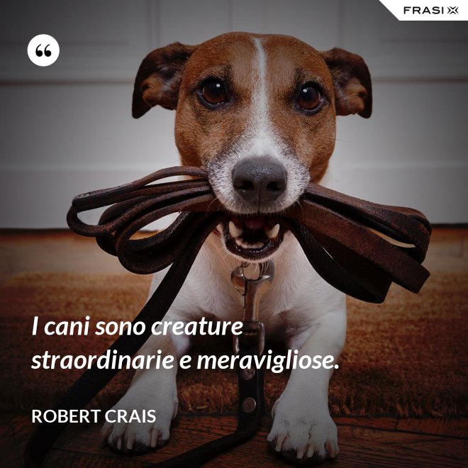 I cani sono creature straordinarie e meravigliose. - Robert Crais