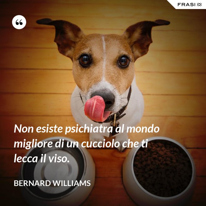 Non esiste psichiatra al mondo migliore di un cucciolo che ti lecca il viso. - Bernard Williams