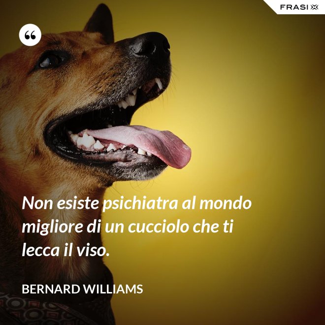 Non esiste psichiatra al mondo migliore di un cucciolo che ti lecca il viso. - Bernard Williams