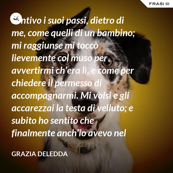 Sentivo i suoi passi, dietro di me, come quelli di un bambino; mi raggiunse mi toccò lievemente col muso per avvertirmi ch’era lì, e come per chiedere il permesso di accompagnarmi. Mi volsi e gli accarezzai la testa di velluto; e subito ho sentito che finalmente anch’io avevo nel mondo un amico. - Grazia Deledda