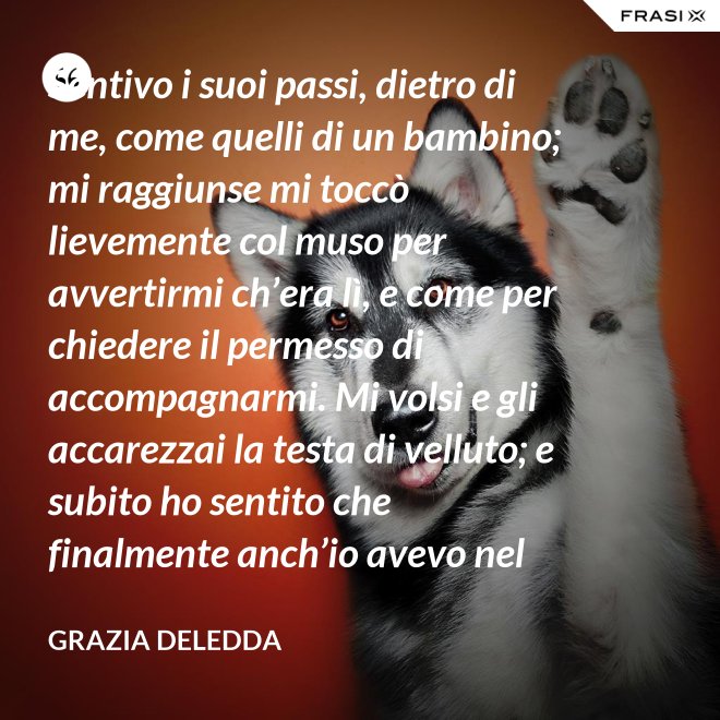 Sentivo i suoi passi, dietro di me, come quelli di un bambino; mi raggiunse mi toccò lievemente col muso per avvertirmi ch’era lì, e come per chiedere il permesso di accompagnarmi. Mi volsi e gli accarezzai la testa di velluto; e subito ho sentito che finalmente anch’io avevo nel mondo un amico. - Grazia Deledda