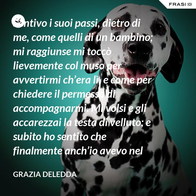 Sentivo i suoi passi, dietro di me, come quelli di un bambino; mi raggiunse mi toccò lievemente col muso per avvertirmi ch’era lì, e come per chiedere il permesso di accompagnarmi. Mi volsi e gli accarezzai la testa di velluto; e subito ho sentito che finalmente anch’io avevo nel mondo un amico. - Grazia Deledda