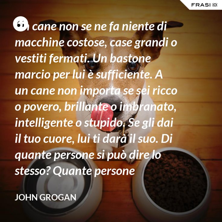 Un Cane Non Se Ne Fa Niente