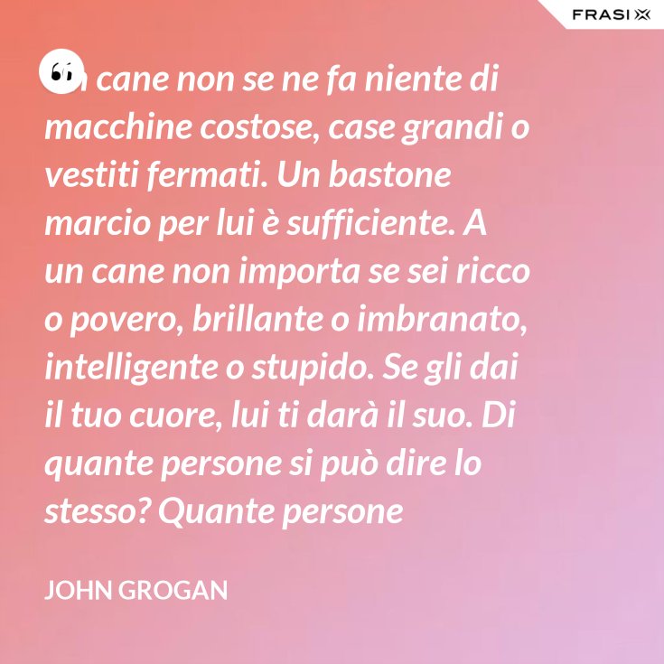Un Cane Non Se Ne Fa Niente