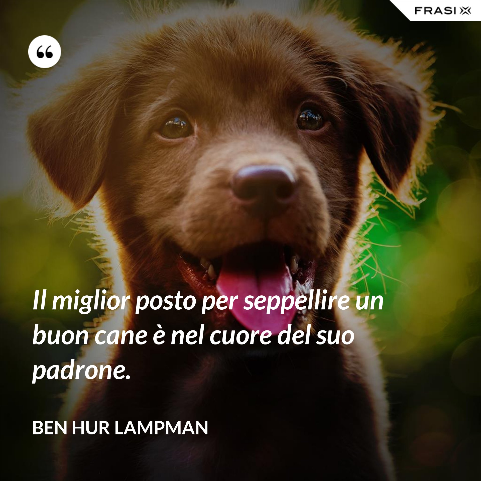 Il miglior posto per seppellire un buon cane è nel cuore del suo padrone.