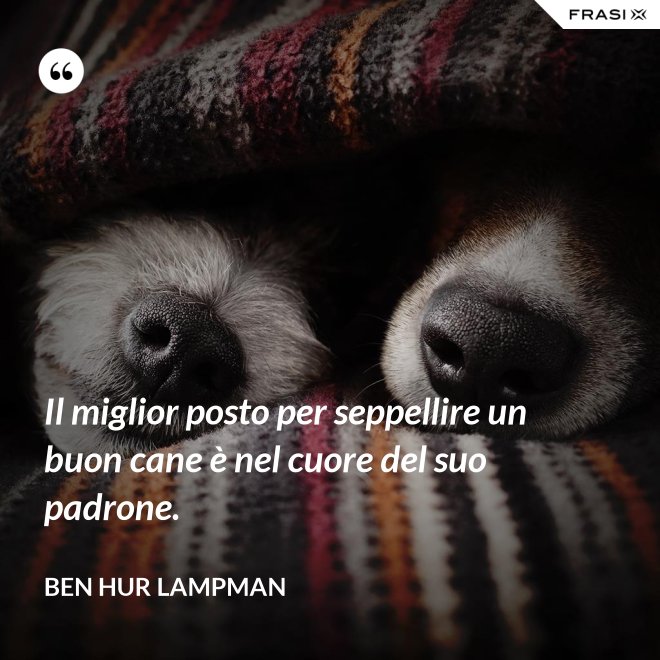 Il miglior posto per seppellire un buon cane è nel cuore del suo padrone.