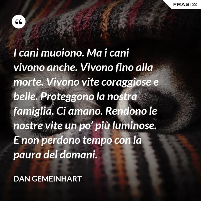 I cani muoiono. Ma i cani vivono anche. Vivono fino alla morte. Vivono vite coraggiose e belle. Proteggono la nostra famiglia. Ci amano. Rendono le nostre vite un po’ più luminose. E non perdono tempo con la paura del domani. - Dan Gemeinhart