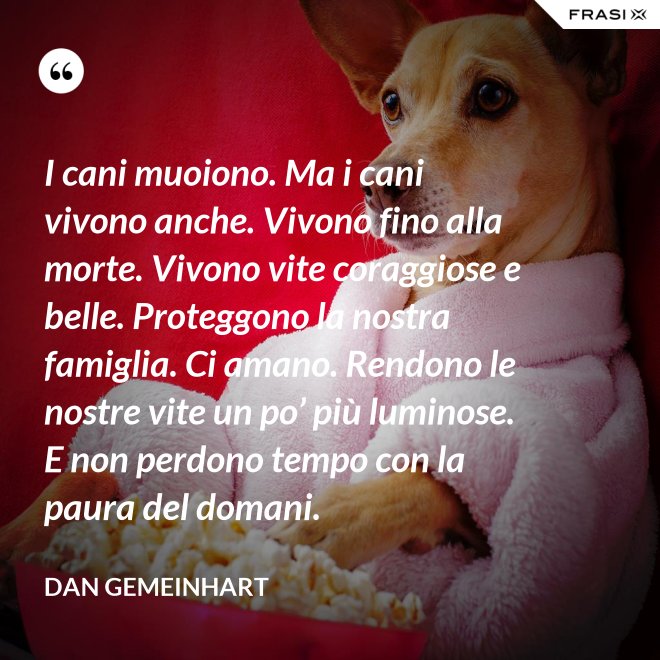 I cani muoiono. Ma i cani vivono anche. Vivono fino alla morte. Vivono vite coraggiose e belle. Proteggono la nostra famiglia. Ci amano. Rendono le nostre vite un po’ più luminose. E non perdono tempo con la paura del domani. - Dan Gemeinhart
