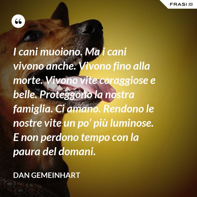 I cani muoiono. Ma i cani vivono anche. Vivono fino alla morte. Vivono vite coraggiose e belle. Proteggono la nostra famiglia. Ci amano. Rendono le nostre vite un po’ più luminose. E non perdono tempo con la paura del domani. - Dan Gemeinhart
