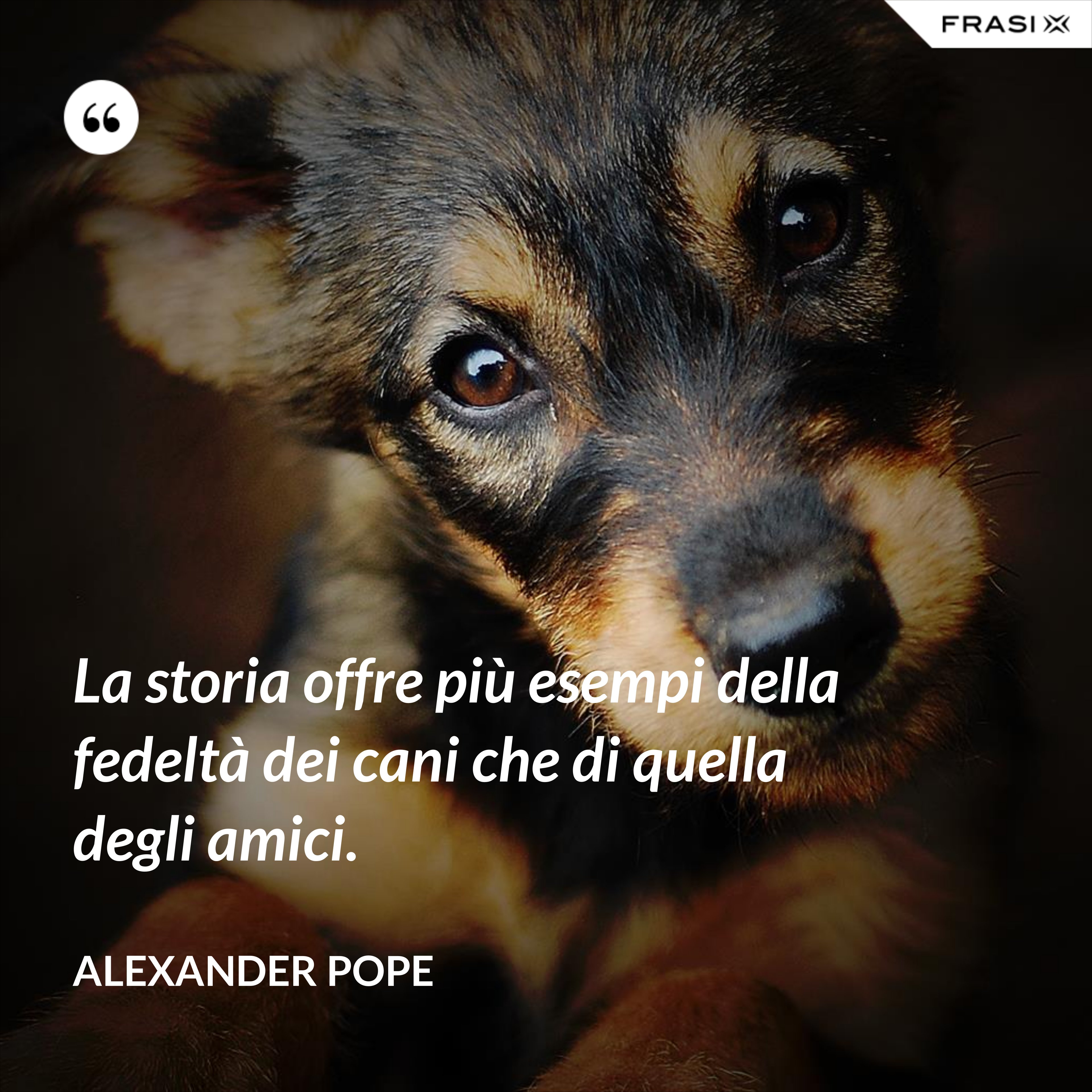 La storia offre più esempi della fedeltà dei cani che di quella degli amici. - Alexander Pope