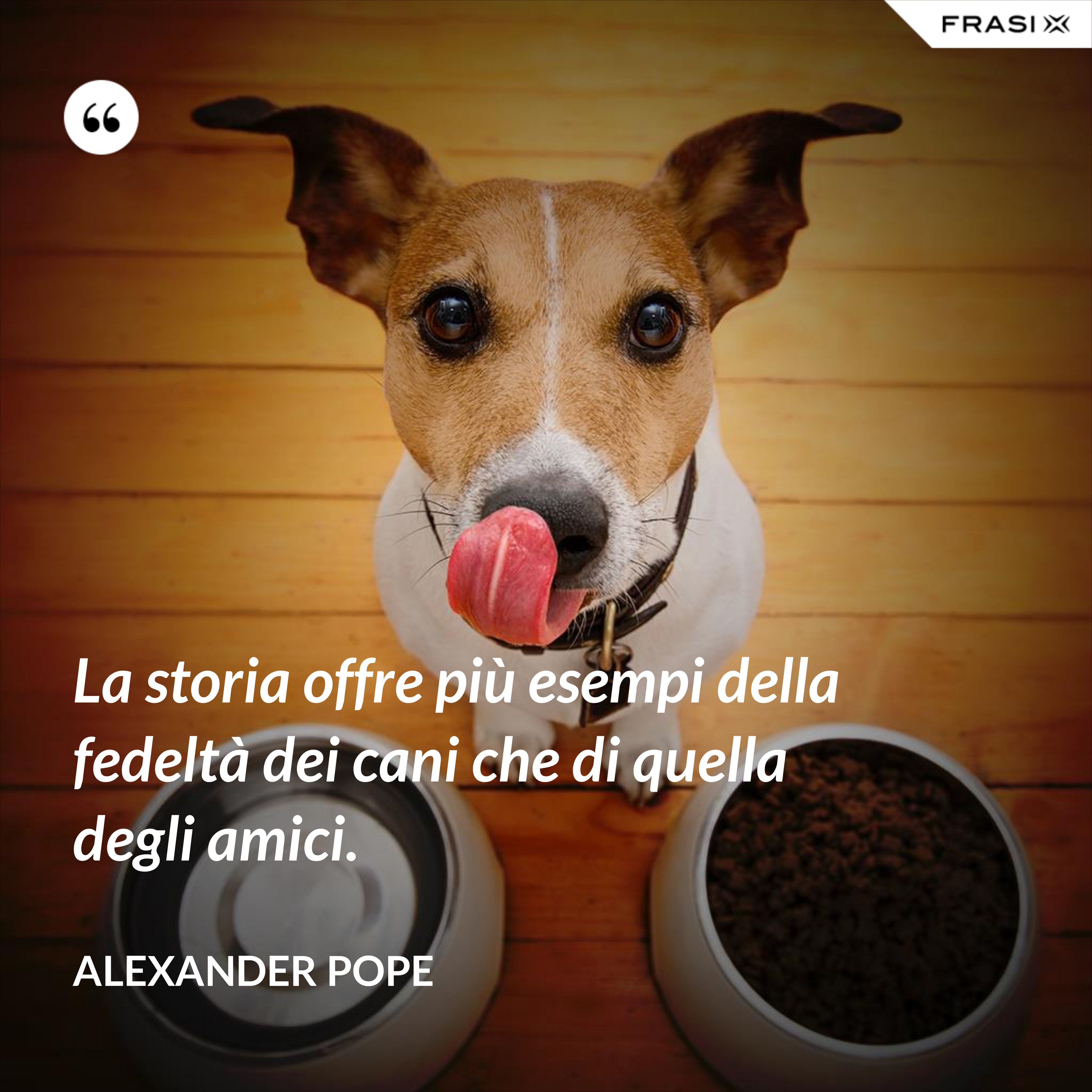 La storia offre più esempi della fedeltà dei cani che di quella degli amici. - Alexander Pope