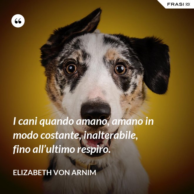 I cani quando amano, amano in modo costante, inalterabile, fino all’ultimo respiro. - Elizabeth von Arnim
