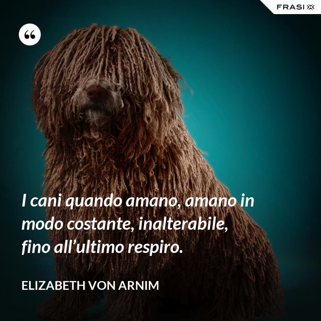 I cani quando amano, amano in modo costante, inalterabile, fino all’ultimo respiro. - Elizabeth von Arnim