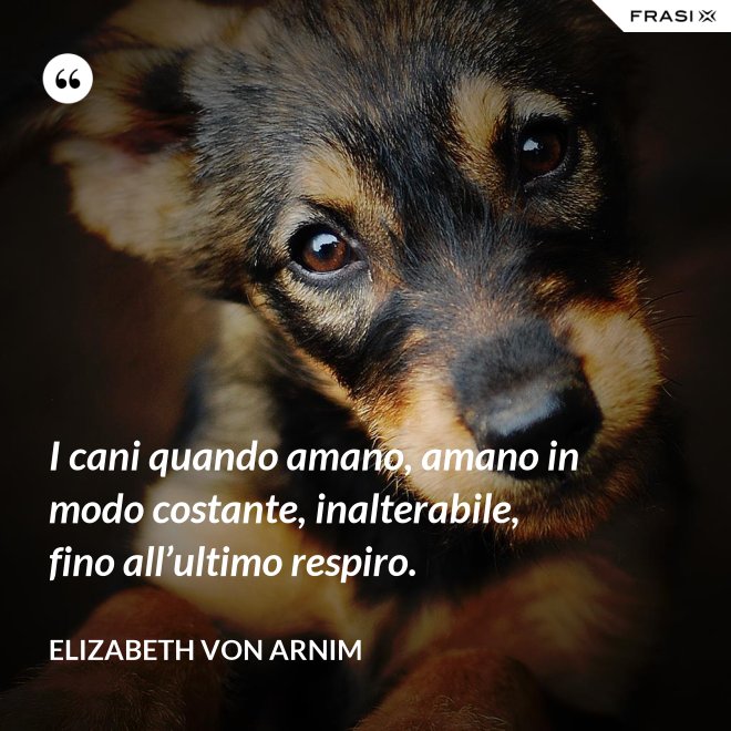 I cani quando amano, amano in modo costante, inalterabile, fino all’ultimo respiro. - Elizabeth von Arnim