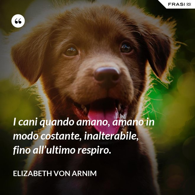 I cani quando amano, amano in modo costante, inalterabile, fino all’ultimo respiro. - Elizabeth von Arnim