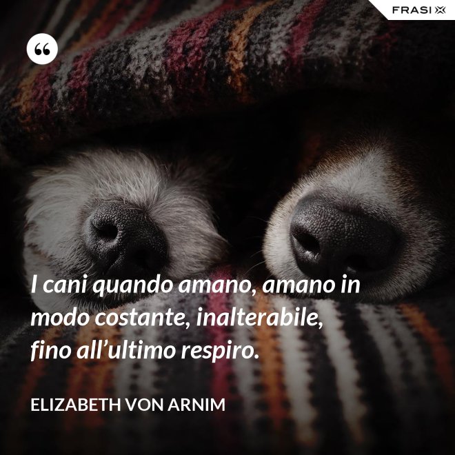 I cani quando amano, amano in modo costante, inalterabile, fino all’ultimo respiro. - Elizabeth von Arnim