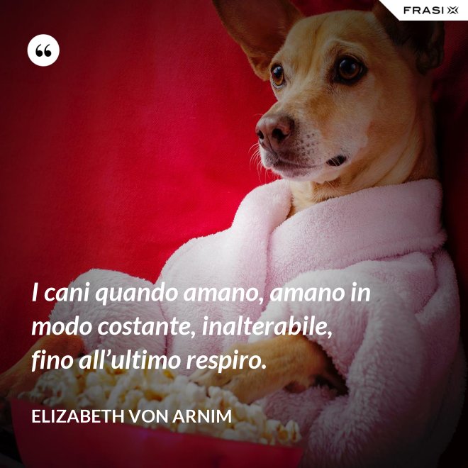 I cani quando amano, amano in modo costante, inalterabile, fino all’ultimo respiro. - Elizabeth von Arnim