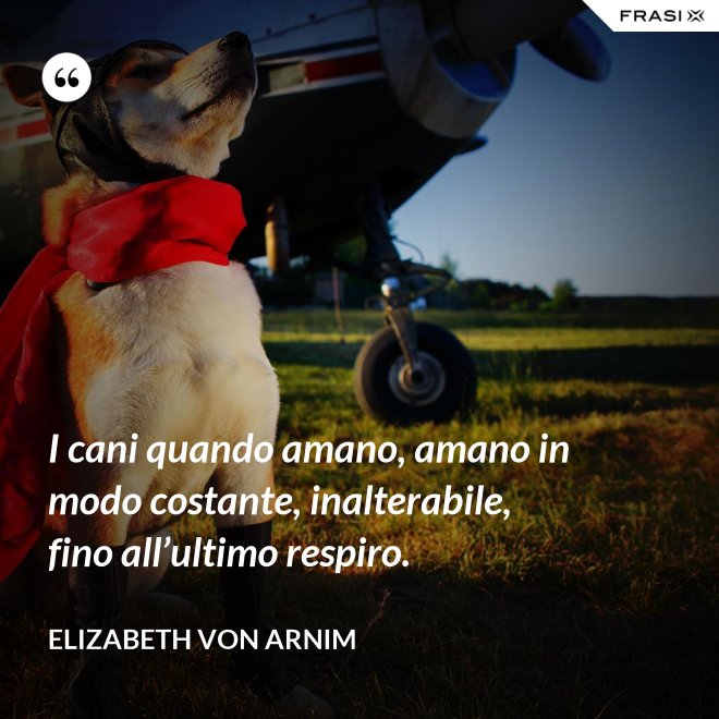 I cani quando amano, amano in modo costante, inalterabile, fino all’ultimo respiro. - Elizabeth von Arnim