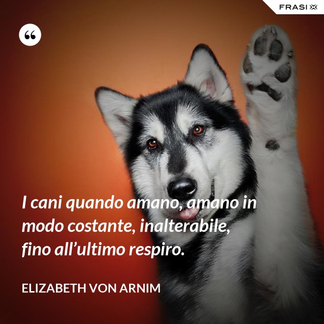 I cani quando amano, amano in modo costante, inalterabile, fino all’ultimo respiro. - Elizabeth von Arnim