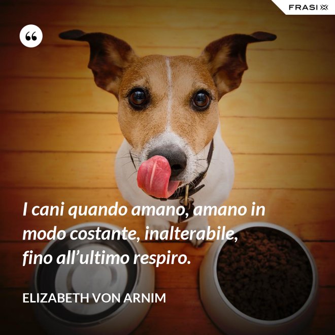 I cani quando amano, amano in modo costante, inalterabile, fino all’ultimo respiro. - Elizabeth von Arnim