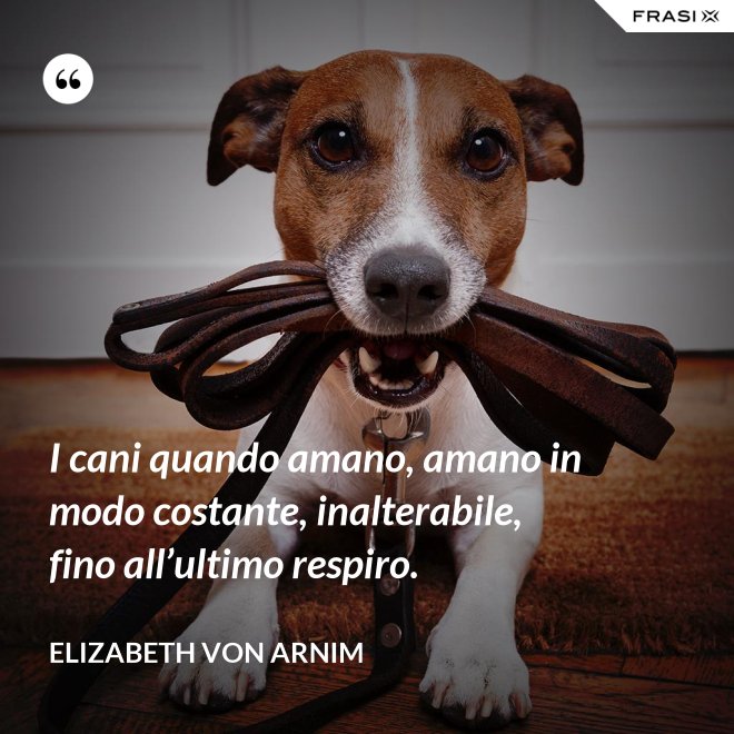 I cani quando amano, amano in modo costante, inalterabile, fino all’ultimo respiro. - Elizabeth von Arnim