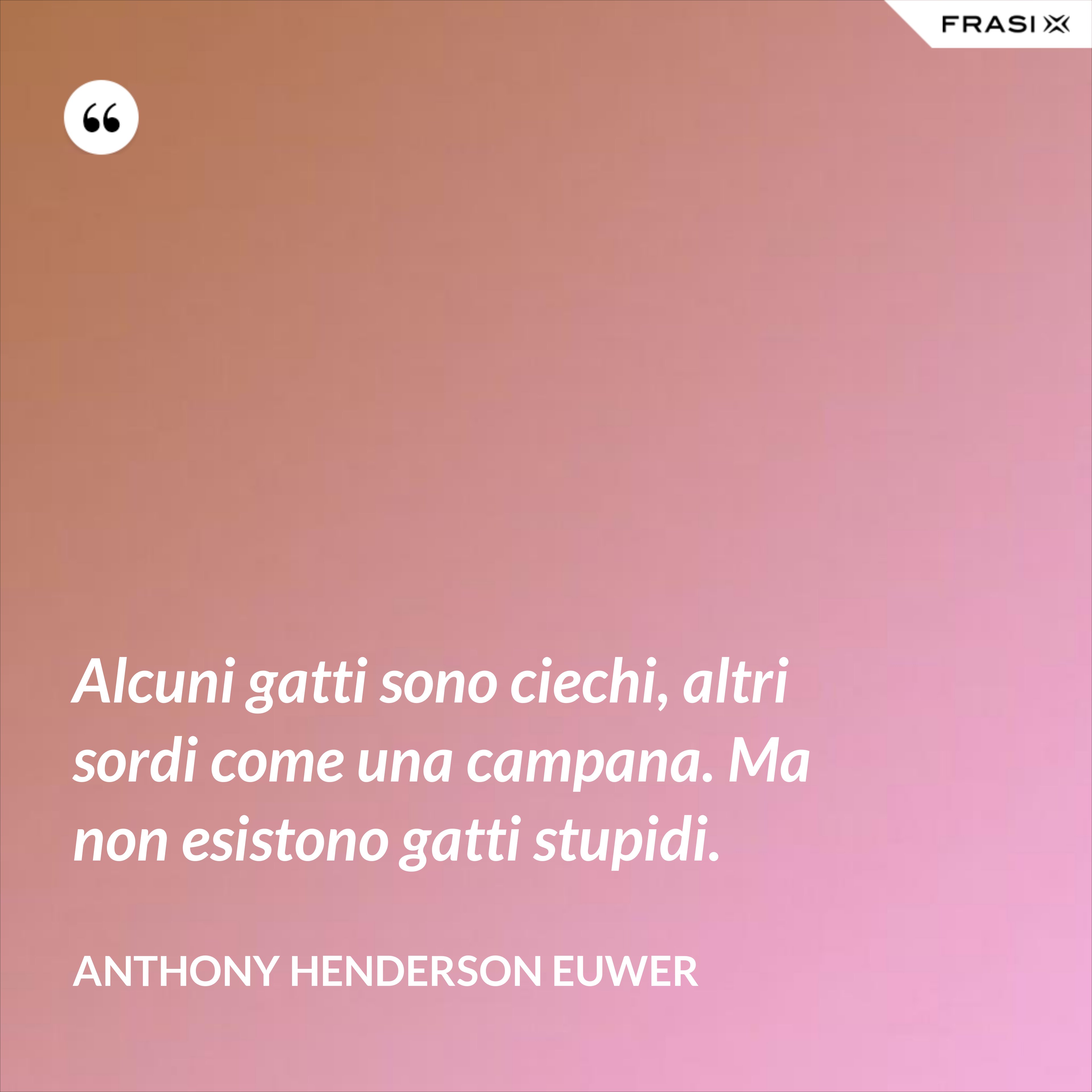 Alcuni gatti sono ciechi, altri sordi come una campana. Ma non esistono gatti stupidi. - Anthony Henderson Euwer