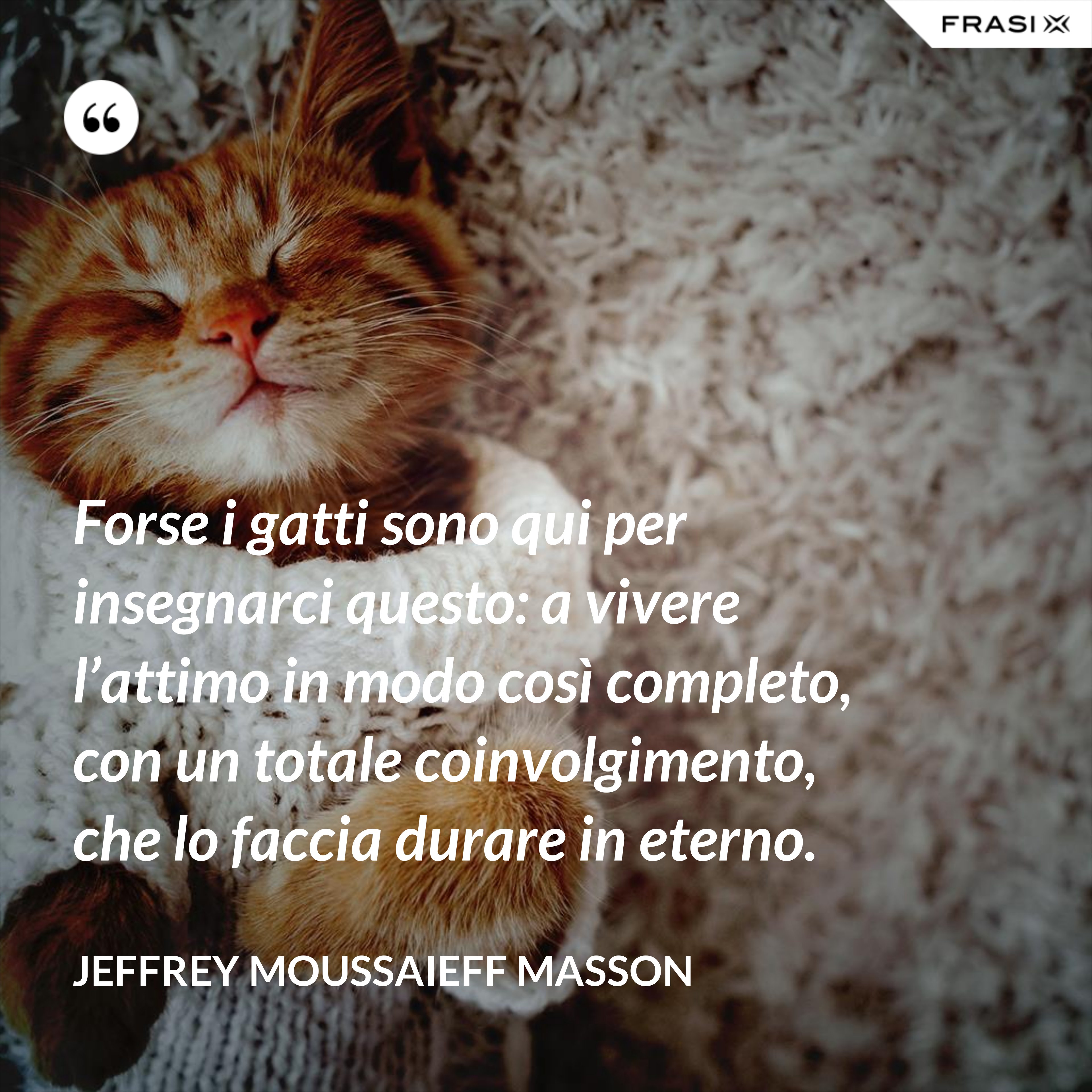 Forse i gatti sono qui per insegnarci questo: a vivere l’attimo in modo così completo, con un totale coinvolgimento, che lo faccia durare in eterno. - Jeffrey Moussaieff Masson