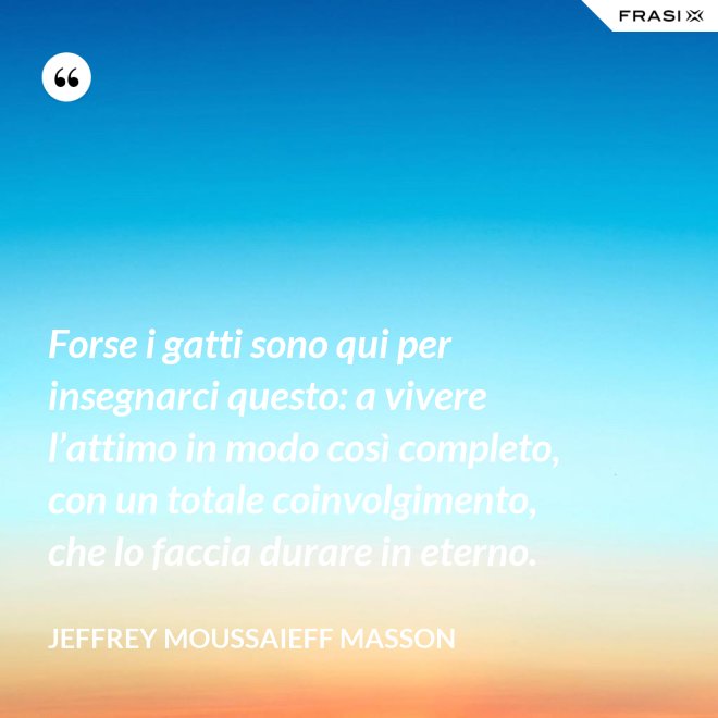 Forse i gatti sono qui per insegnarci questo: a vivere l’attimo in modo così completo, con un totale coinvolgimento, che lo faccia durare in eterno. - Jeffrey Moussaieff Masson