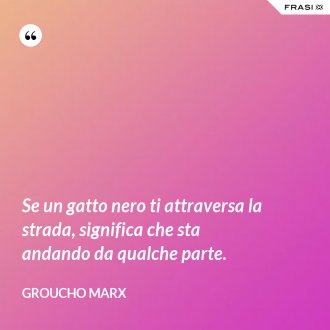 Se un gatto nero ti attraversa la strada, significa che sta andando da qualche parte. - Groucho Marx