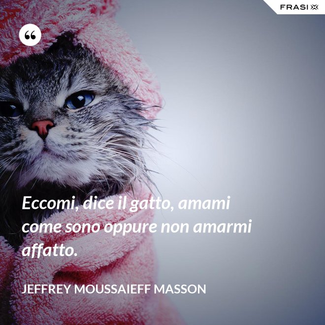 Eccomi, dice il gatto, amami come sono oppure non amarmi affatto. - Jeffrey Moussaieff Masson