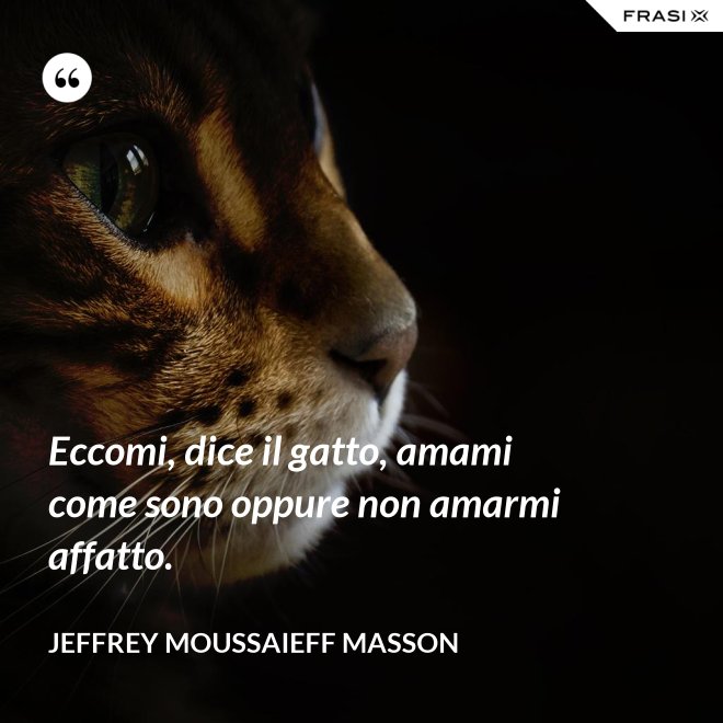 Eccomi, dice il gatto, amami come sono oppure non amarmi affatto. - Jeffrey Moussaieff Masson