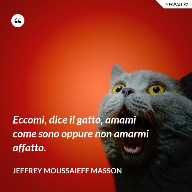 Eccomi, dice il gatto, amami come sono oppure non amarmi affatto. - Jeffrey Moussaieff Masson