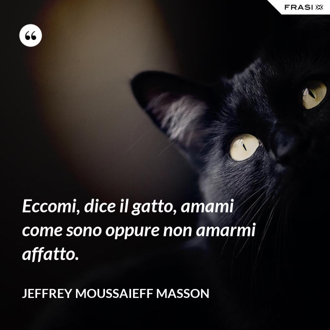 Eccomi, dice il gatto, amami come sono oppure non amarmi affatto. - Jeffrey Moussaieff Masson