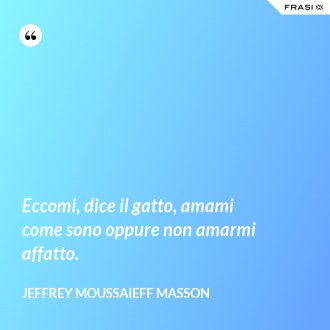 Eccomi, dice il gatto, amami come sono oppure non amarmi affatto. - Jeffrey Moussaieff Masson