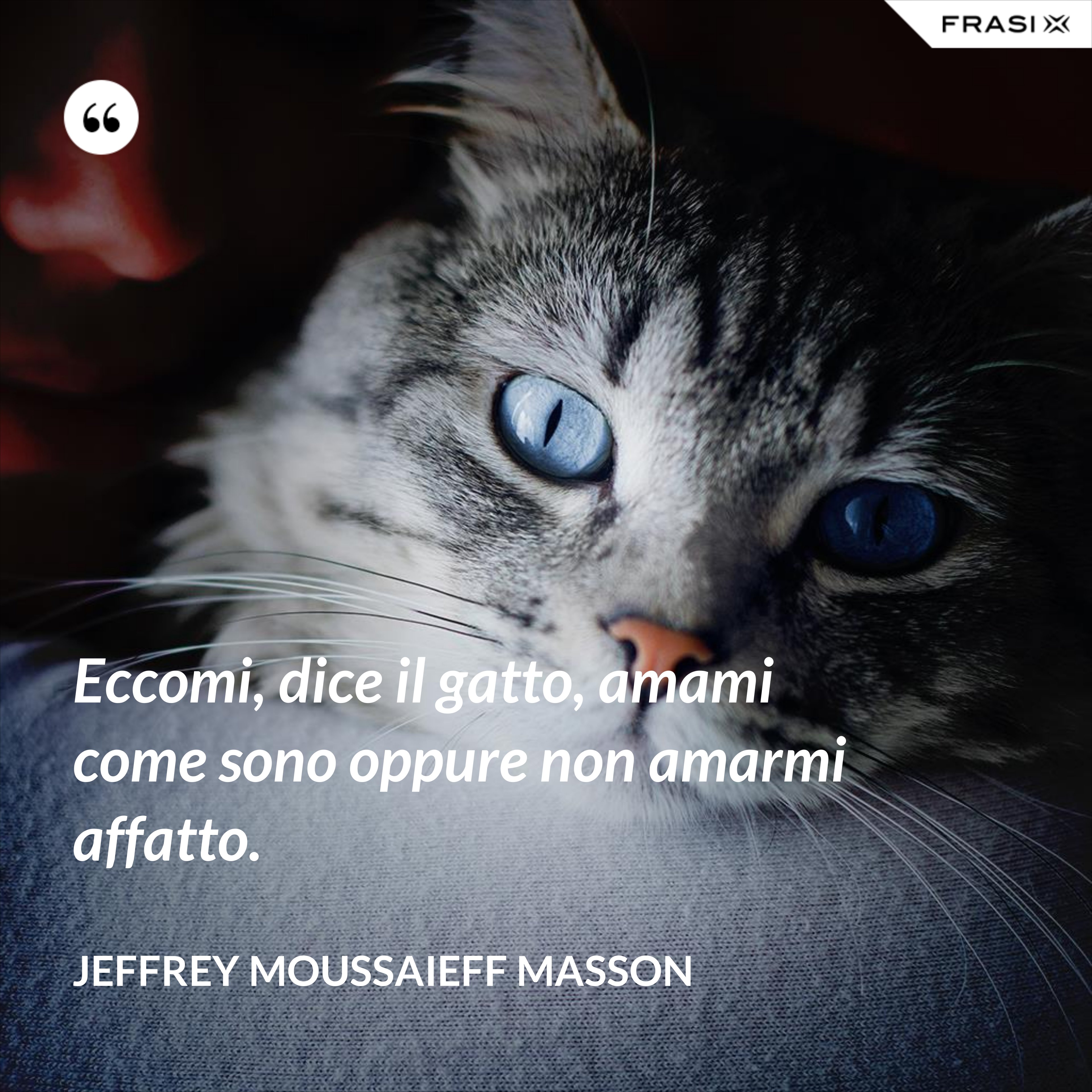 Eccomi, dice il gatto, amami come sono oppure non amarmi affatto. - Jeffrey Moussaieff Masson