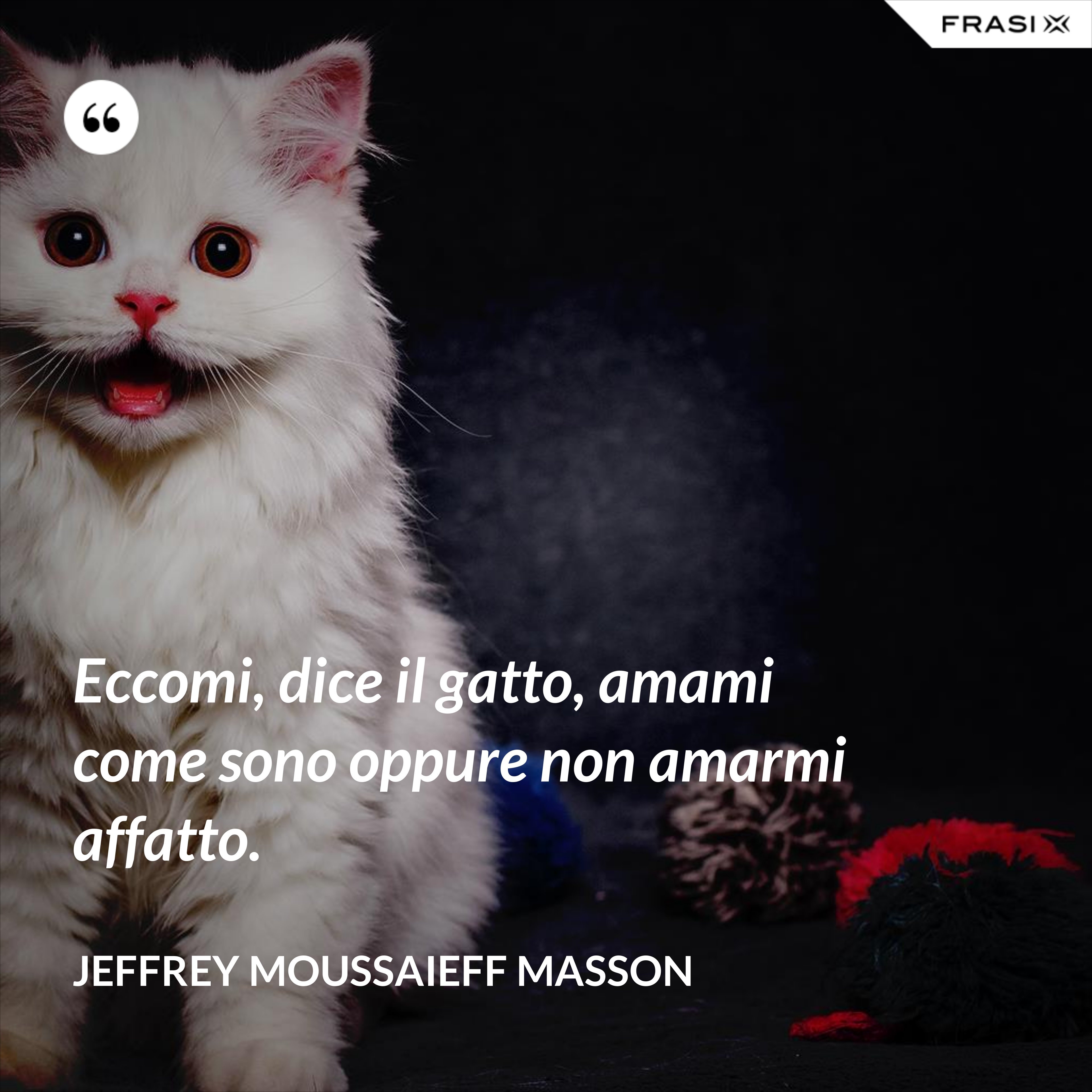 Eccomi, dice il gatto, amami come sono oppure non amarmi affatto. - Jeffrey Moussaieff Masson