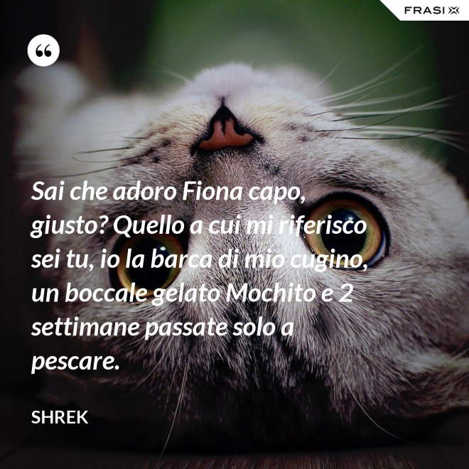 Sai che adoro Fiona capo, giusto? Quello a cui mi riferisco sei tu, io la barca di mio cugino, un boccale gelato Mochito e 2 settimane passate solo a pescare. - Shrek
