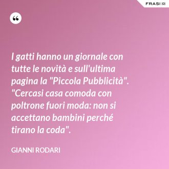 I gatti hanno un giornale con tutte le novità e sull'ultima pagina la "Piccola Pubblicità". "Cercasi casa comoda con poltrone fuori moda: non si accettano bambini perché tirano la coda". - Gianni Rodari