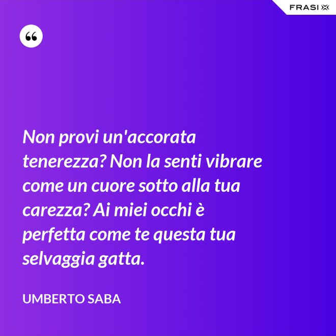 Non provi un'accorata tenerezza? Non la senti vibrare come un cuore sotto alla tua carezza? Ai miei occhi è perfetta come te questa tua selvaggia gatta. - Umberto Saba