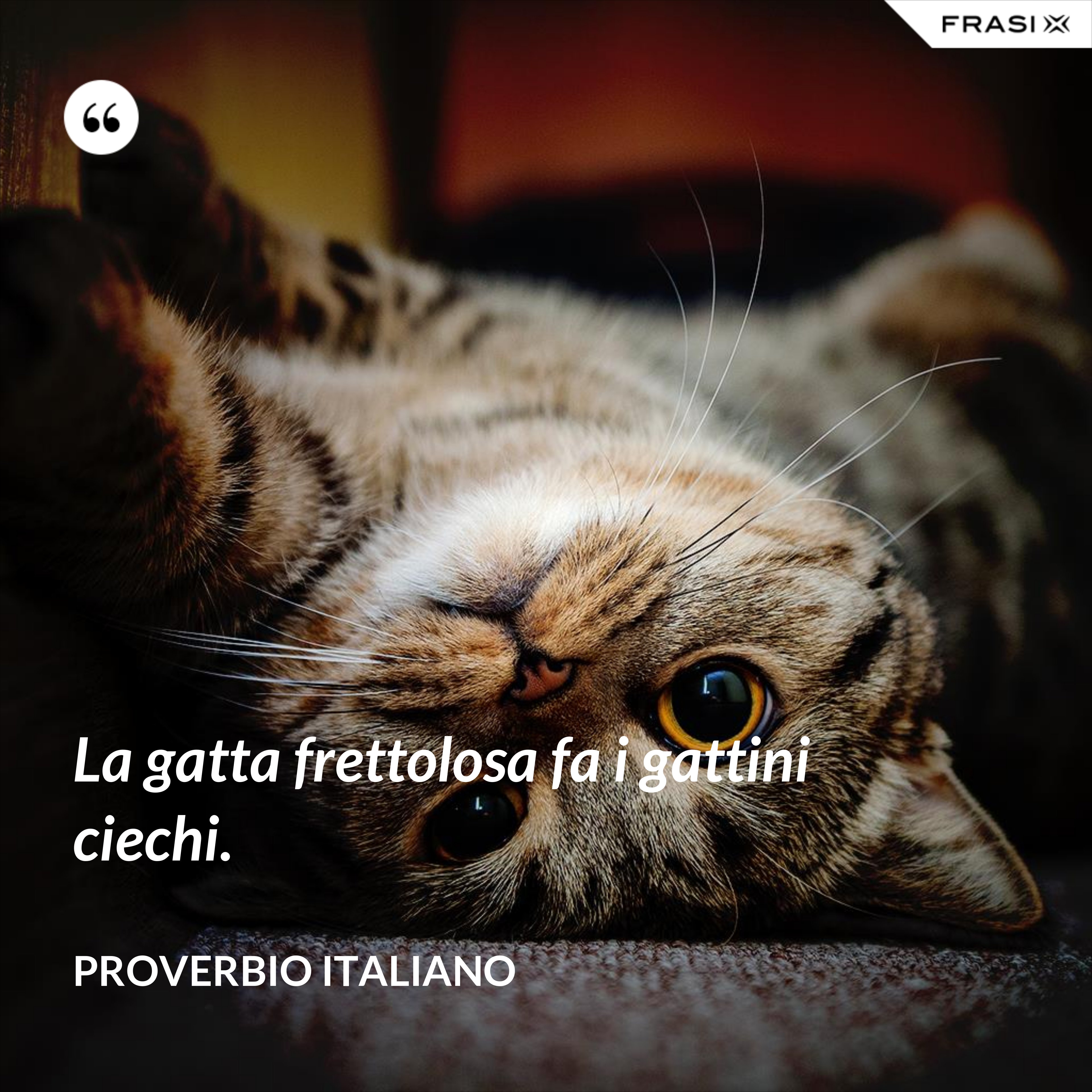 La gatta frettolosa fa i gattini ciechi. - Proverbio italiano