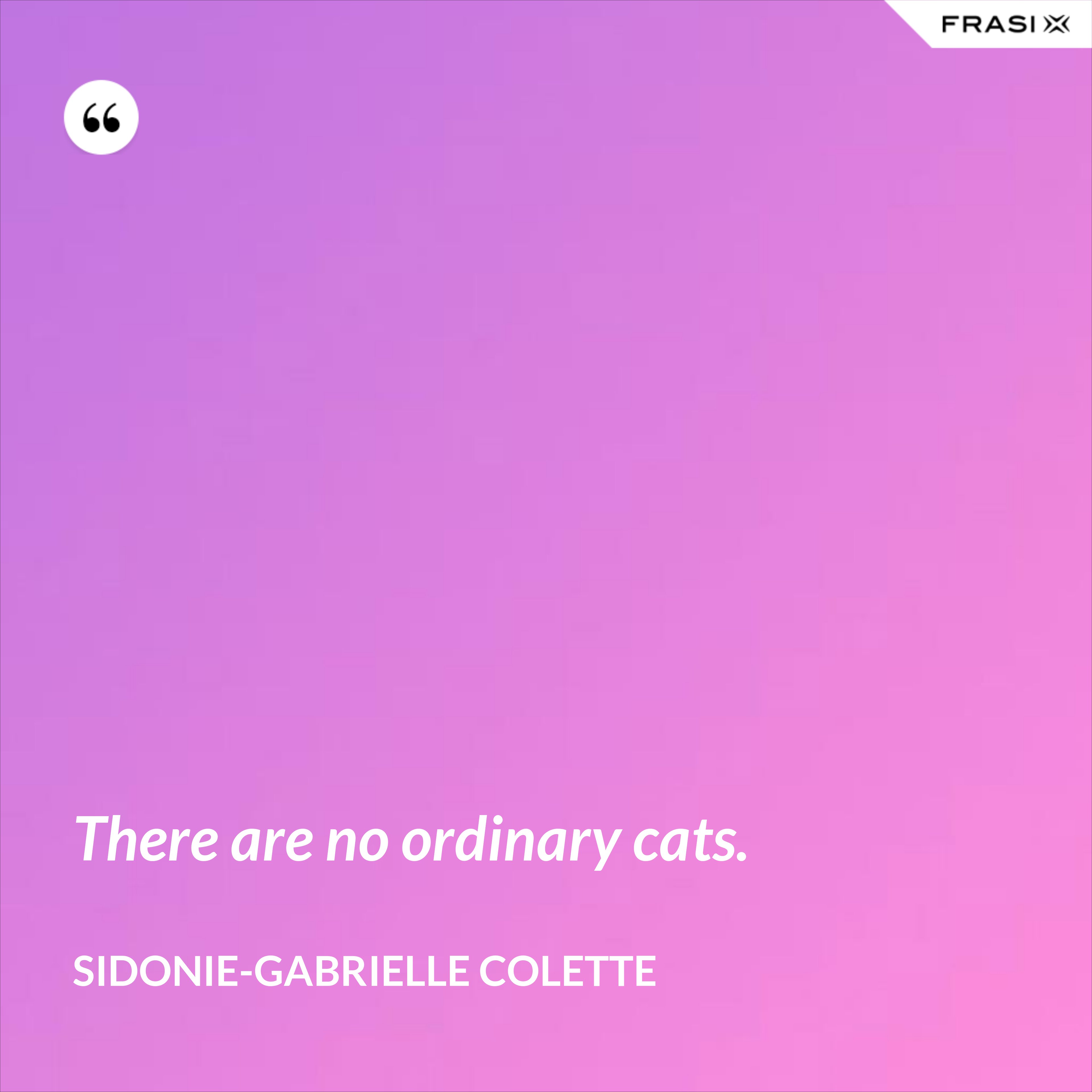 There are no ordinary cats. - Sidonie-Gabrielle Colette