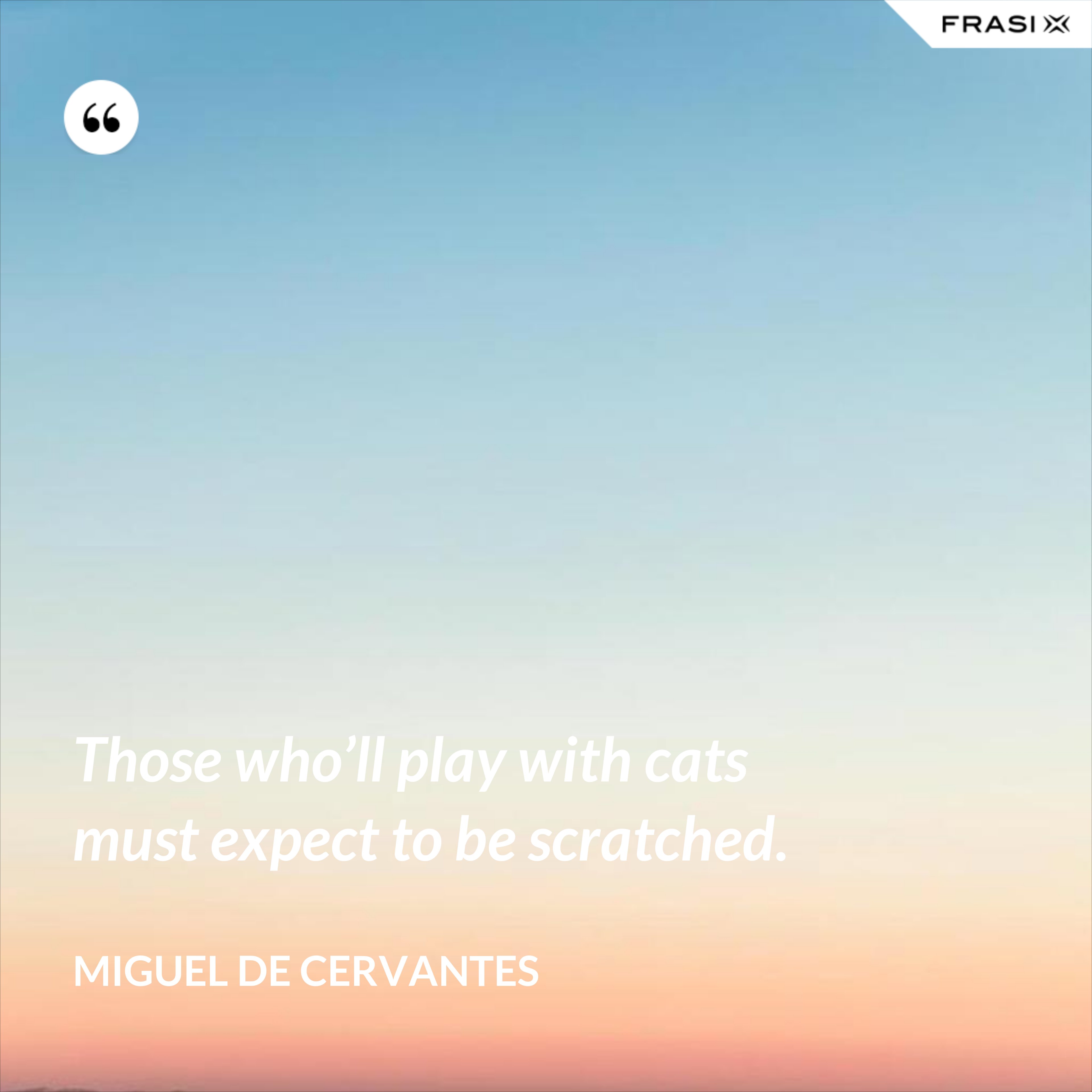 Those who’ll play with cats must expect to be scratched. - Miguel de Cervantes