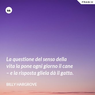 La questione del senso della vita la pone ogni giorno il cane – e la risposta gliela dà il gatto. - Billy Hargrove