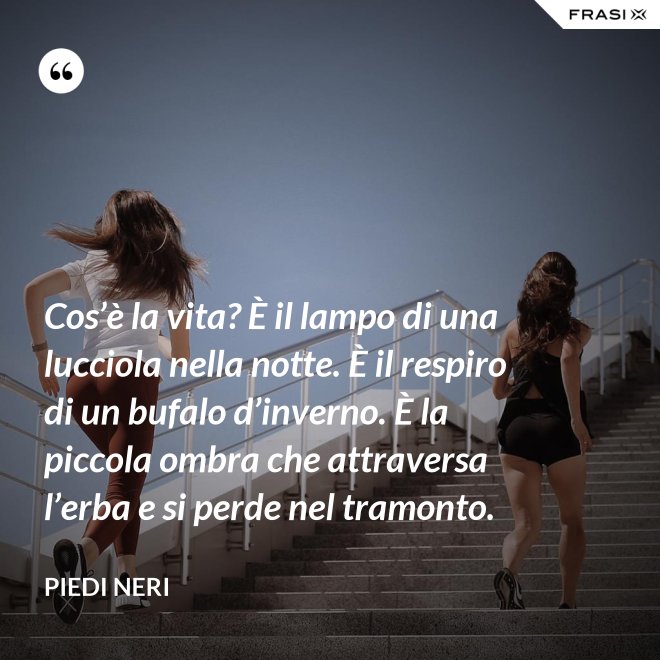 Cos’è la vita? È il lampo di una lucciola nella notte. È il respiro di un bufalo d’inverno. È la piccola ombra che attraversa l’erba e si perde nel tramonto. - Piedi neri