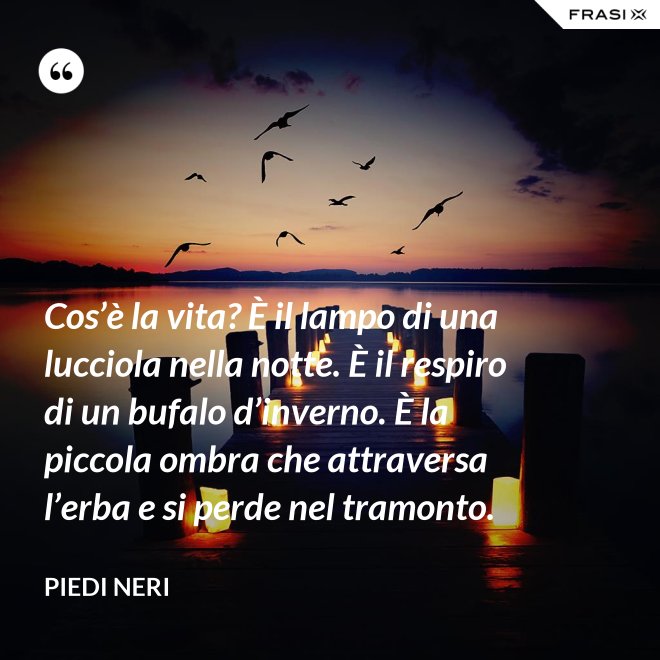 Cos’è la vita? È il lampo di una lucciola nella notte. È il respiro di un bufalo d’inverno. È la piccola ombra che attraversa l’erba e si perde nel tramonto. - Piedi neri
