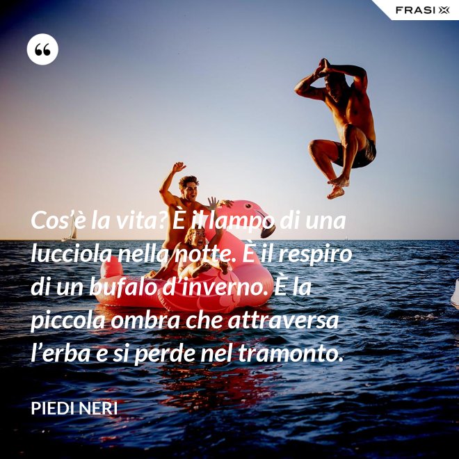 Cos’è la vita? È il lampo di una lucciola nella notte. È il respiro di un bufalo d’inverno. È la piccola ombra che attraversa l’erba e si perde nel tramonto. - Piedi neri