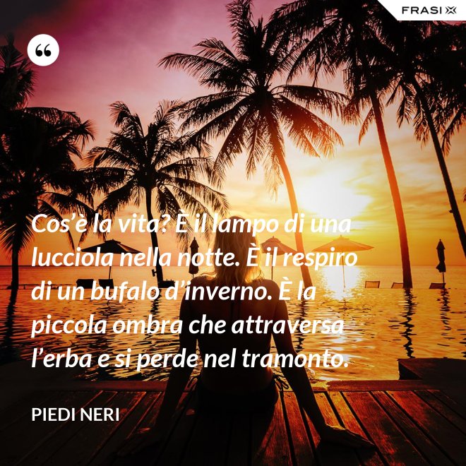 Cos’è la vita? È il lampo di una lucciola nella notte. È il respiro di un bufalo d’inverno. È la piccola ombra che attraversa l’erba e si perde nel tramonto. - Piedi neri