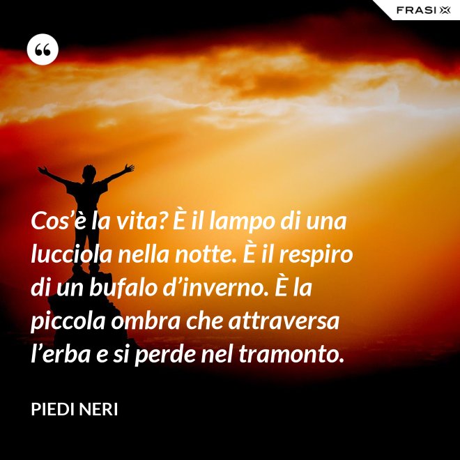 Cos’è la vita? È il lampo di una lucciola nella notte. È il respiro di un bufalo d’inverno. È la piccola ombra che attraversa l’erba e si perde nel tramonto. - Piedi neri